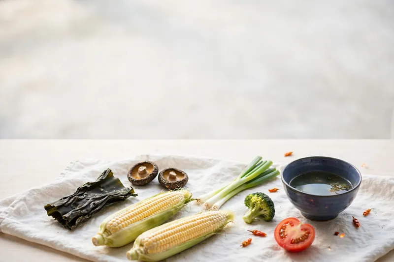 Illustration of vegetables and dried mushrooms for a vegetable broth